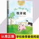 【新華正版】迪克動(dòng)物小說：牧羊豬 兒童文學(xué)獎(jiǎng)號(hào)角獎(jiǎng) 7-8-10歲小學(xué)生二三四年級(jí)必讀課外勵(lì)志成長(zhǎng)讀物學(xué)校分級(jí)閱讀 愛心樹