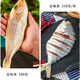 閘坡船鮮曬金線魚海魚陽江一夜埕咸魚干海魚干紅三魚紅杉魚紅哥里刀鯉魚 金線魚500克+金鯧魚2條
