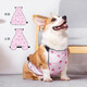 貓橘狗狗狗肚兜柯基犬護(hù)肚子防著涼衣服寵物防水薄款 粉色母狗款 L(24-33斤的寶貝)