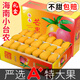四叔公果蔬（中通/速發(fā)）新鮮小臺芒果 應(yīng)季小臺農(nóng)芒超甜當(dāng)季熱帶新鮮水果 8斤 大果90g+
