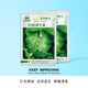 中科茂華蔬菜種子101結球生菜種子拉爾夫生菜小青菜種子射手結球生菜春秋露地冬季大棚種植陽(yáng)臺盆栽 101結球生菜500粒/袋【陽(yáng)臺小院】