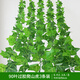 雙盟仿真藤條爬山虎葉婚慶節慶裝飾假樹(shù)葉藤蔓塑料花藤下水管遮擋綠葉