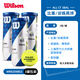 威爾勝（Wilson）比賽罐裝訓練球專(zhuān)業(yè)練習球膠罐網(wǎng)球WR8208802 上海大師賽款3罐