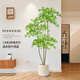 未歐南天竹仿真綠植盆栽高端輕奢室內(nèi)客廳裝飾擺件大型造景落地假花樹(shù) 180cm 3桿南天竹+米色花pp盆