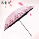 天堂傘二折蕾絲傘防曬遮陽(yáng)傘黑膠太陽(yáng)傘防曬防紫外線晴雨兩用女士雨傘 淺粉色
