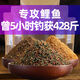挺派釣鯉魚餌料黑坑專用搶魚野釣江河水庫釣鯉魚小藥薯香螺鯉香套餐餌 螺香鯉（野釣主流味型 ）