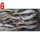 伯賢 延邊新鮮明太魚不帶頭鱈魚狹鱈魚明太魚新鮮大棒魚柴魚五斤裝