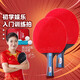 雙魚(yú)（DOUBLE FISH） 乒乓球拍初學(xué)者成品拍雙面反膠皮套裝快攻型學(xué)生業(yè)余訓練乒乓拍 套拍 316A一橫一直