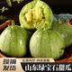 青惠悠山東綠寶石脆皮甜瓜新鮮網(wǎng)紋東北牛奶小香瓜羊角薄皮翡翠蜜水果 5斤裝精品甜瓜