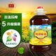 賜億（CIYI）【賜億】西北特產(chǎn)甘肅會寧特產(chǎn)純胡麻油5L家庭裝 5000ml