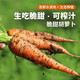 密農人家新鮮現拔胡蘿卜 帶泥農家蘿卜 生吃脆甜 可以榨汁蘿卜個(gè)頭小500g