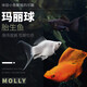 小型熱帶淡水冷水觀(guān)賞魚(yú)皮球魚(yú)瑪麗球胎生魚(yú)生小魚(yú)活體寵物魚(yú) 黃金+白瑪麗各2條