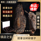 唯茶碎銀子正宗糯米香手工高端茶熟茶化石小沱茶陳年古樹(shù)普洱茶禮盒裝 金絲楠木12小罐裝禮盒