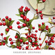 沐晴 假花仿真漿果發(fā)財果家居客廳軟裝小紅果花束新中式花藝擺件 仿真紅色漿果一枝