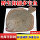 安峰山多寶魚(yú)比目魚(yú)海鮮鮮活冷凍新鮮石斑魚(yú)深海魚(yú)鮮活鰈魚(yú)海鮮魚(yú) 7-9兩每條 2條