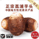 GANXIAN廣西荔浦大芋頭【順豐】現(xiàn)挖現(xiàn)發(fā)粉香芋新鮮蔬菜可選禮盒廣西特產(chǎn) 5斤 大芋頭（單果2-3斤）