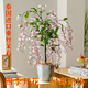 垂絲茉莉盆栽大棵年宵花耐寒客廳茉莉花卉陽(yáng)臺植物濃香室內四季開(kāi) *四色各一* 八年半苗*一顆*30天爆花