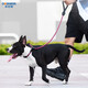 多尼斯（DOGNESS）狗繩狗牽引繩項圈小型犬拴遛狗繩P鏈防爆沖泰迪比熊法斗博美棗紅S