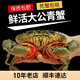 【活蟹】軒農(nóng)谷青蟹鮮活大螃蟹肉蟹包活螃蟹公蟹海鮮水產(chǎn)中秋禮盒 拍兩件【2斤發(fā)3只】