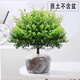 繽賢繽賢小葉赤楠老樁樹苗盆栽綠植花卉室內(nèi)客廳好養(yǎng)美觀四季常青 大號(hào)赤楠（原土不含盆） #28