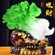 錦禮嘉玉白菜擺件招財開業(yè)禮品大號客廳裝飾品電視酒柜辦公室工藝品擺設(shè) 大 長31厘米 寬20厘米 高30厘米