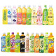 康師傅冰紅茶飲料500ml*12瓶混搭茉莉蜜茶水蜜桃金桔檸檬冰綠茶芒果小酪 12瓶【12種口味隨機混合】