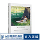 零基礎(chǔ)學(xué)人像攝影與擺姿 陳丹丹編著 ptpress攝影客優(yōu)選適合攝影入門新手的人像攝影教程書