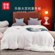簡(jiǎn)單生活樂(lè )膚大豆抗菌冬被 樂(lè )膚大豆抗菌冬被 200x230cm(3.8kg)