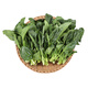 菠菜苗250g