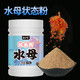 舟三公水母拉狀態(tài)粉超細(xì)水拉餌拉絲粉拉小米野釣黑坑蜘蛛絲拉餌料 水母狀態(tài)粉*1瓶