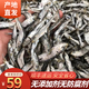 福建東山島青蘭魚(yú)干淡曬沙丁魚(yú)干即食小魚(yú)干清甜新鮮海鮮干貨 2斤裝