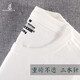 匹戲300g重磅新疆純棉長(cháng)絨棉短袖T恤男團體定制工作服班服訂做三本針 白色 L