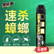 黑旋風(fēng)殺蟲劑殺蟑氣霧劑蟑螂藥家用室內(nèi)噴霧滅蟑除蟲殺蟲水無香型600ml