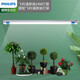 飛利浦(PHILIPS)全光譜LED植物生長燈大棚花卉室內(nèi)家用多肉補(bǔ)光燈仿太陽自然光光合作用燈 飛利浦24W全光譜燈管配飛利浦燈架