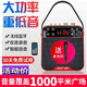 先科（SAST） 藍(lán)牙廣場(chǎng)舞音箱迷你MP3播放器收音機(jī)老年人充電便攜式插卡音響聽?wèi)驒C(jī)隨身聽U盤k29  普通版(藍(lán)牙+有線話筒+充電器十2個(gè)電池)