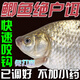 谷蜀香【釣魚(yú)界禁用】誘魚(yú)粉開(kāi)口劑小藥野釣垂釣誘魚(yú)劑釣鯽鯉魚(yú)鰱鳙餌料 鯽魚(yú)餌料-一包裝(200g)