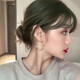 伊黛兒港風(fēng)耳圈時尚耳環(huán)韓國氣質(zhì)網(wǎng)紅圓圈個性簡約冷淡風(fēng)女2025時尚耳飾 金色韓式E0016