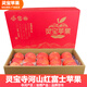 豫寶靈寶蘋(píng)果寺河山紅富士新鮮水果蘋(píng)果 國家地理標志產(chǎn)品 靈寶特產(chǎn)  12顆85-95果無(wú)標紅禮盒