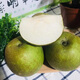 上海特產(chǎn)崇明翠冠蜜梨當(dāng)季現(xiàn)貨現(xiàn)摘現(xiàn)發(fā)上海蜜梨 單果6-8兩 10斤