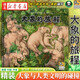 大象的旅程 3-6-9歲幼兒童科普百科故事書(shū)動(dòng)物認知生命教育繪本 小學(xué)一二三年級寒暑假課外書(shū) 湖北新華書(shū)店旗艦店