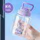 迪士尼（Disney）兒童水杯夏季Tritan材質(zhì)吸管杯大肚杯幼兒園小學(xué)生大容量運動(dòng)水壺 愛(ài)莎公主 吸管杯 700ml