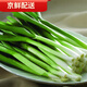 皓謙現(xiàn)挖新鮮蒜苗農(nóng)家自種當(dāng)季蔬菜苔嫩青蒜苗 蒜苗 3斤 蒜苗 3斤