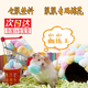 智宙 倉鼠棉花冬季保暖套裝無(wú)塵紙棉墊料保暖棉球棉被金絲熊過(guò)冬用品 倉鼠過(guò)冬棉花
