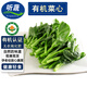 聽蔬有機(jī)菜心1份 火鍋菜苔寶寶食材匯 新鮮蔬菜現(xiàn)采摘 有機(jī)認(rèn)證無農(nóng)殘 500g