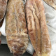鮮木 鯊魚(yú)肚3-5斤裝 鯊魚(yú)魚(yú)肚花膠魚(yú)膠急凍鮮魚(yú)肚海八珍海鮮水產(chǎn)順豐鮮木 【鯊魚(yú)肚】3斤裝