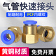 SEISO 氣管快速接頭 PCF氣動(dòng)內(nèi)螺紋直通快插接頭 銅質(zhì)內(nèi)牙氣動(dòng)接頭 10-04【10mm管 4分內(nèi)絲】5只