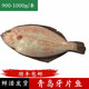 魚(yú)姐海成 青島大牙片魚(yú)新鮮大扁口魚(yú)比目魚(yú)海捕鮮活海鮮900-1000g/條袋裝