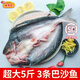 桃李旺（taoliwang）新鮮巴沙魚(yú) 巴沙魚(yú)整條 鮮凍開(kāi)背 湄公魚(yú) 烤魚(yú)燒烤食材 帶皮魚(yú)腩 【2.5kg】約3條巴沙魚(yú) 2.5kg