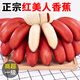 麗雯福建紅美人香蕉整箱應(yīng)季新鮮水果香甜土樓紅皮banana水果福建漳州 3斤