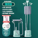 海爾（Haier） 掛燙機HY-GD1505F家用小型蒸汽掛式熨斗燙衣服熨燙機商用服裝店立式手持蒸汽掛燙機 雙桿綠色+熨燙板 大蒸汽